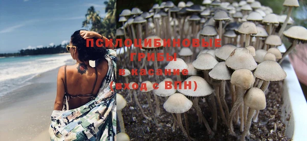 хмурый Магадан