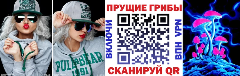 Псилоцибиновые грибы Magic Shrooms  Мамадыш 